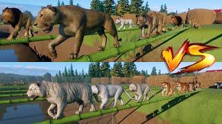 50 Lions VS 50 Tigers Big Cats Racing in Planet Zoo included African Lion & Siberian Tiger