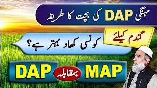 Use of MAP in wheat | DAP vs MAP | Crop Reformer