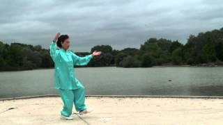 Huynh Le Hoa  Paris - Taichi 1