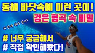 [4k] 동해 바다속에 이런곳이? 왠지 빨려 들어갈듯한 검은 협곡 속 정체는? 고성으로 떠난 스쿠버다이빙 여행