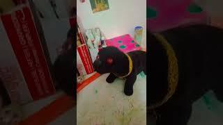 unboxing, my, parcel, 🫀️