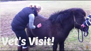 Shetland Pony Club Vet’s Visit - TV Episode 60