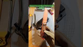 ESEE 4 Basic Maintenance and Sharpening | #knife #camping #survival | @RandallsAdventureESEE