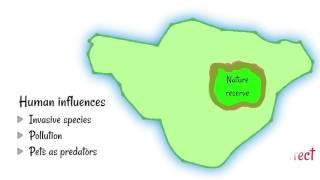 Shape of Nature Reserves