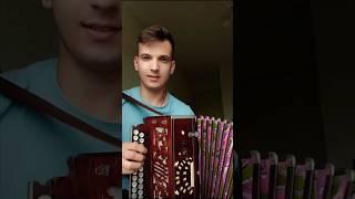 Про сватов #гармонь #частушка #песниподгармонь #матаня #наигрыши