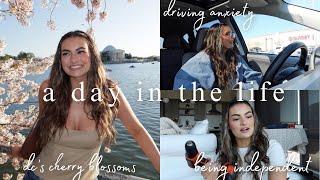 independent era | driving w anxiety, DC's cherry blossoms, life updates, home decor