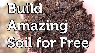 Build Amazing Fertile Garden Soil Using Free and Local Resources in your Mulch or Compost
