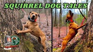 Squirrel Dog Tales – TN WildCast 384