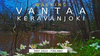 Walking Vantaa: Keravanjoki River, May 2024, Finland [4K] #slowtv