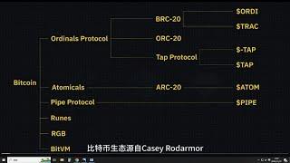 比特币生态新旧协议层出不穷，你都分清了吗？