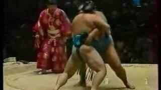 Sumo Paris Bercy 1995