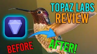 Topaz Labs Photo AI Review: Unbiased Long Term Review