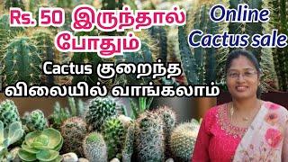 #Shemasundar #cactusforsale #cactussaleinonline #lowpricecactus #lowmaintenancecactus #cautus