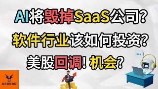 AI将毁掉SaaS公司? 软件行业该如何投资? 美股回调! 机会?【美股分析】