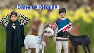 Bahen ki Chalaki   || Motivational story || MoonVines