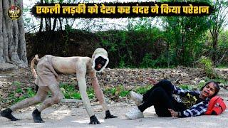 एकली लड़की को देख कर बंदर ने किया परेशान || लड़की डर गई पूरी तरह || Bodhya Manglya Ki Comedy