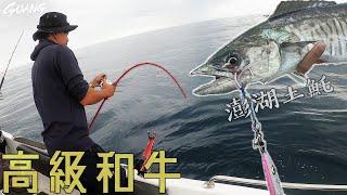 努力了３年終於釣到了！回去熟成做生魚片！【生猛海底撈】【漁洸水產試驗所】