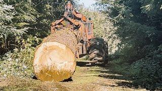 Rain Is Coming! We Need To Get These Logs Out Of Here!