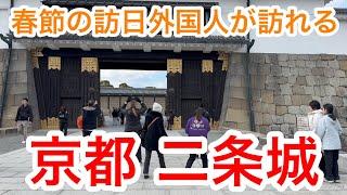 2025年1月29日 春節の訪日外国人が訪れる京都二条城を歩く Walking around Nijo Castle in Kyoto 【4K】