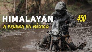 ¿Funciona para esto la nueva HIMALAYAN 450? // LODO Y CAÍDAS #himalayan450