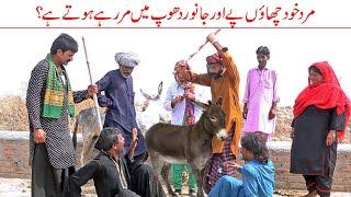 INSAN KHUD CHAO PA OUR JANWAR DHOOP MIN MR RHEY HOTEY HY MOLA BAKSH GULU VIDEO BY DERA BALU DA 2024