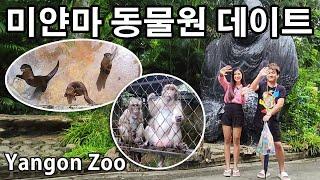 미얀마 미녀 여배우와 동물원 데이트 | The Yangon Zoo in Myanmar | မြန်မာတိရစ္ဆာန်ရုံ