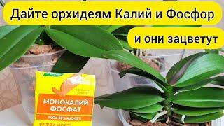 Фосфор и калий для орхидеи ||  Полив для цветения орхидей