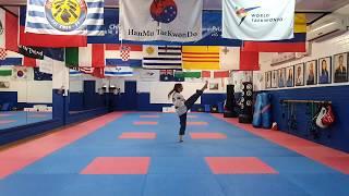 2020 Virtual Range Open Poomsae Championships - Final