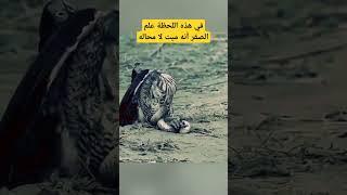 معلومة لعقلك