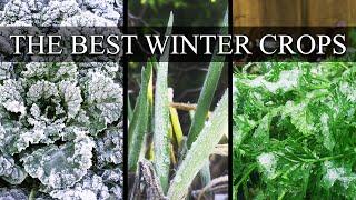 10 Of The Best Cold Weather Winter Crops