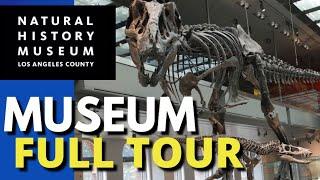 Los Angeles Natural History Museum | Everything In 8 Minutes