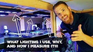 THE 300: Lighting in My 300 Gallon Reef Tank Overview Series