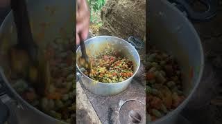 Colhi Feijão Verde na Roça para o Almoço!