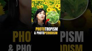 Phototropism aur Photoperiodism me kya difference hota hai bacho?  #riturattewal #neet2024 #neetbio