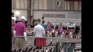 ACC Championship 2013 - 60M Hurdles Final