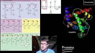 Biological Molecules