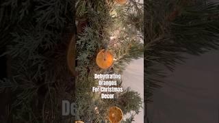 Today on the Homestead:Dehydrating Oranges Natural Christmas Decorations | DIY Holiday Decor #Shorts