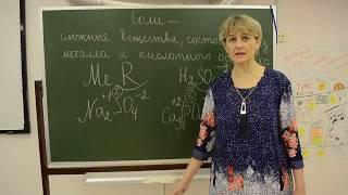 Урок химии по теме "Соли" для 8 классов (учитель Швецова Елена Евгеньевна)