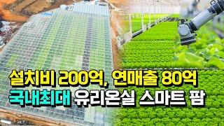 [구독자 이벤트] 국내최대 7000평 유럽채소 스마트팜이 인력 없이 자동화로 운영되는 이유