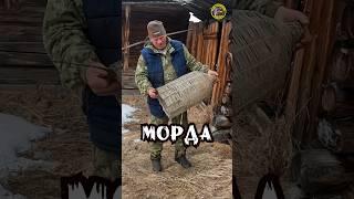 Эвенки оставили в ТАЙГЕ Корчагу и Туесок #тайга
