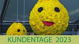 Kientzler Kundentage 2023: Herbstzauber - Hitzeprofis - Chrysanthemum