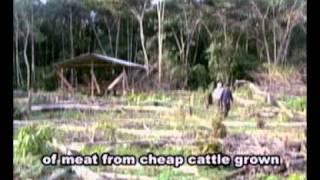 ecoagents1