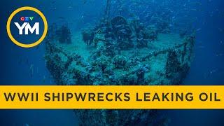 Shipwrecks from WWII leaking oil, chemicals into ocean | Your Morning