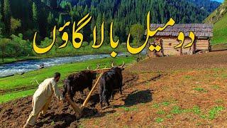 A Beautiful Village Life of Azad And Jammu Kashmir | Amazing & Natural Village Life | Travel Guide