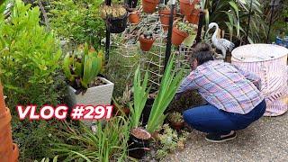 LET's BEGIN THE FRONT GARDEN CLEANING  | VLOG #291