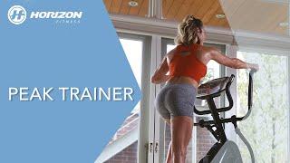 Horizon Fitness Peak Trainer Stepper