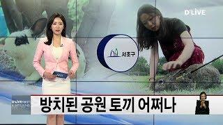 서초_방치된 공원 토끼 어쩌나(서울경기케이블TV뉴스)