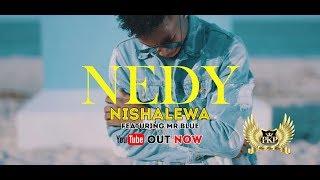 Nedy Music ft Mr Blue - Nishalewa ( Official Music Video )