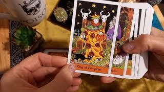 Halloween Tarot in a tin flip through