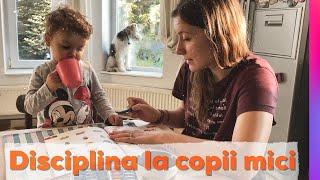 DISCIPLINA LA COPII MICI | Educatie toddler 2-3 ani | Fara pedepse, fara time-out || eVrabie